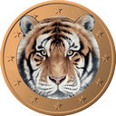 tiger coin crypto where to buy